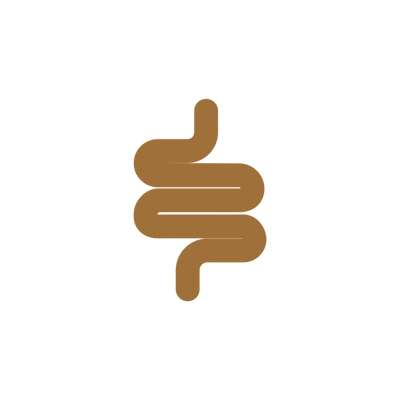 Spijsvertering & Darmgezondheid