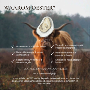 Vis Oesters