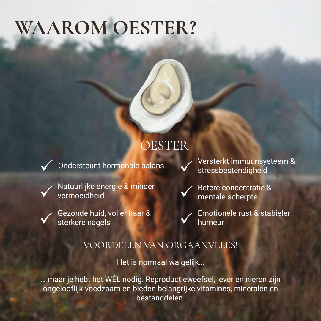 Vis Oesters